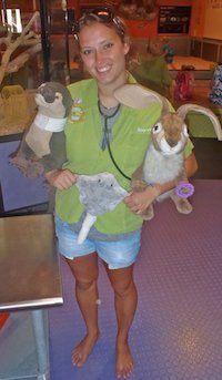 Kelsey Mikolajczyk pre vet Summer Plans? Check Out the Summer Undergraduate Residency in Public Health.