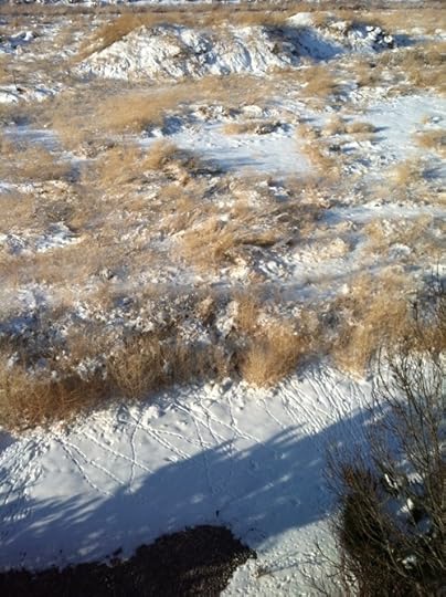  . . . Or See the Marks of Tiny Feet . . .  