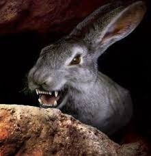  photo bunnicula2_zps755950c4.jpg