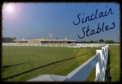  photo 4cef9fde-1a36-4e30-bb97-aca6e7746e9f.jpg