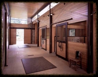  photo efc51f1e-1ba1-4c3a-a705-0e0a620e92e1.jpg