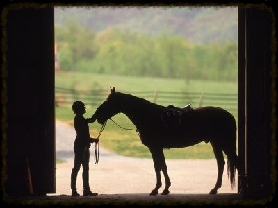  photo e5075a02-5706-4cd1-b0e9-fd619d529228.jpg