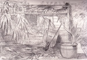 Shed