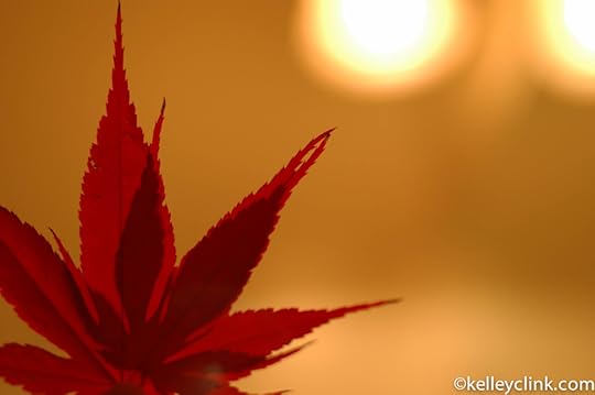 Sun shine down kelley red leaf