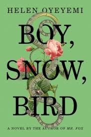 BoySnowBirdCover