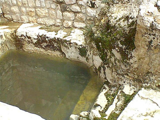 Mikveh1
