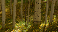 Photo courtesy of Arthur Rousseau with Hope for Haiti.