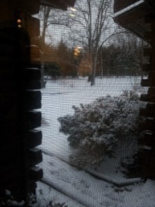 20140316_190618 (263x350)