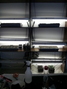 20140325_080034 (263x350)