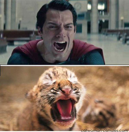 fuzz-therapy-for-the-man-of-steel