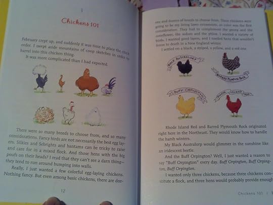 chicken breeds photo 2014-03-28_10-40-26_522.jpg