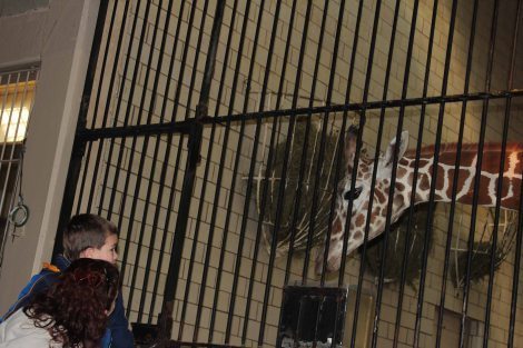The first animal Michael really thought was interesting.