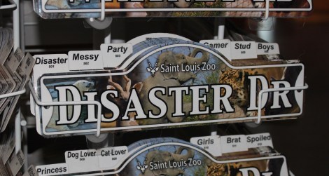 We were buying souvenirs and I thought about getting this for Michael.
