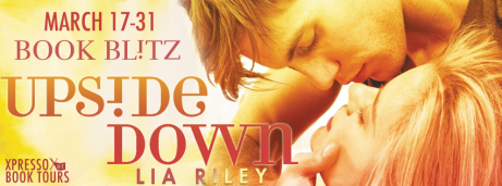 UpsideDownBlitzBanner1