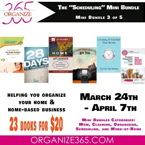 minibundle_scheduling_1000x1000-500x500