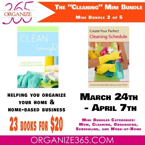 Organize your home and home based business with the cleaning mini bundle from Organize365.com