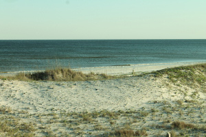 St George island 2014 005