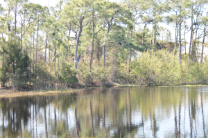St George island 2014 020
