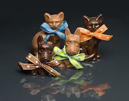 cat chocolate