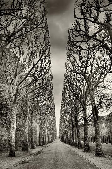 The Road Goes Ever On and On © Harold Davis