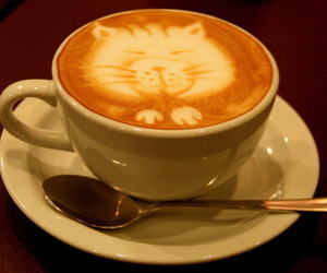 cat_cafe