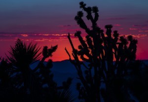 mojave sunset