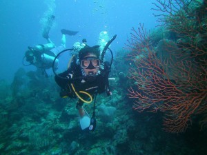diving with frank