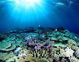 Barrier Reef 1