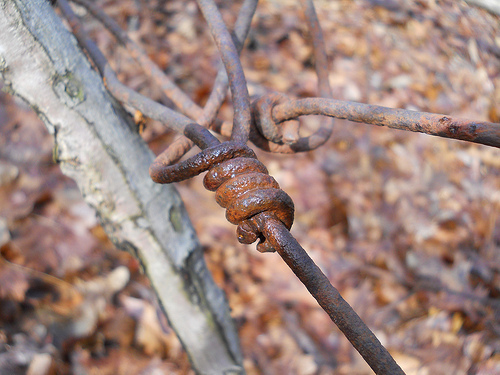 synthetic tendrils