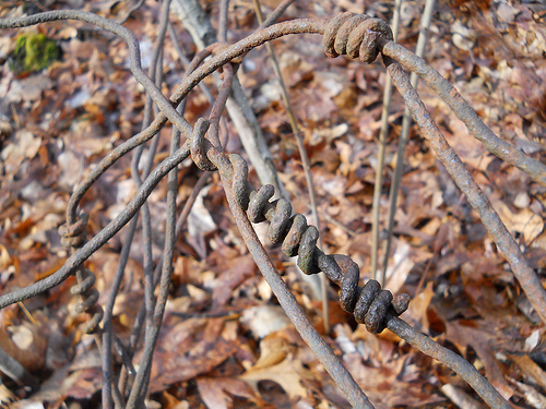 synthetic tendrils