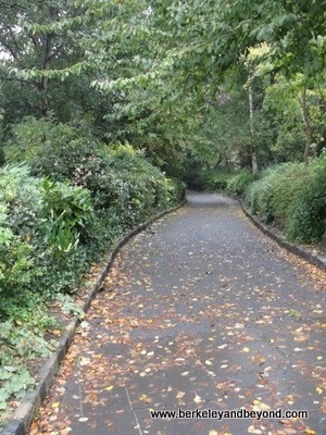 path in Merrion Square Park in Dublin, Ireland