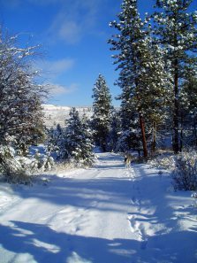 Gift of a Plowed Road