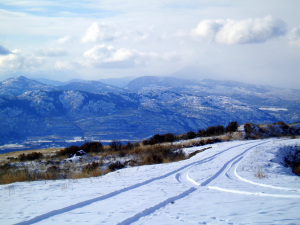 Where Primitive Roads Meet