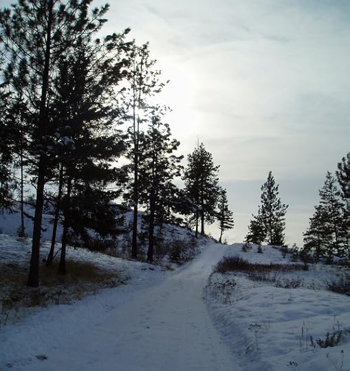 Nearing home - on, on...