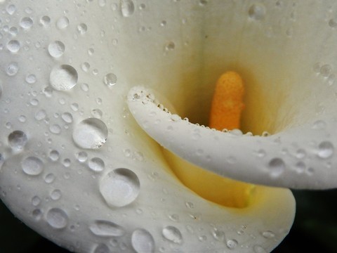 Photograph by artist Karl Kaiser