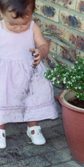 soil to ground