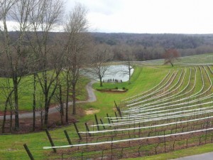 Monteluce Winery - my kind of party 