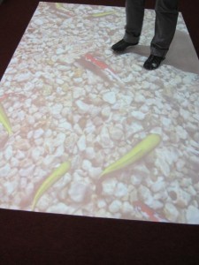 BCBF14 - interactive fish8-small