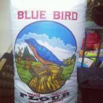 bluebirdflour