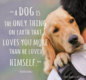 Dog loves you more