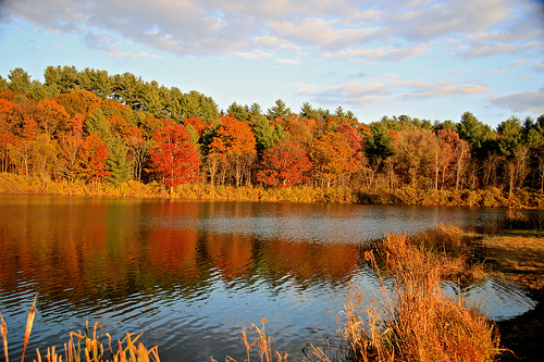 Adirondack Autumn 778