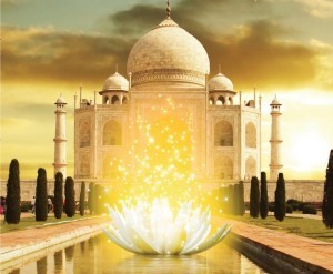 Taj and lotus