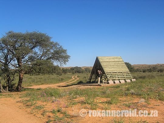 The Kgalagadi Transfrontier Park