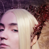 diy-thranduils-crown3