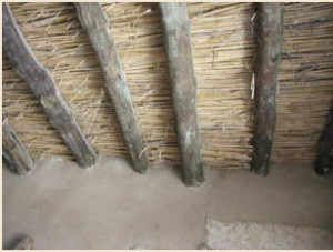 RoofCane3