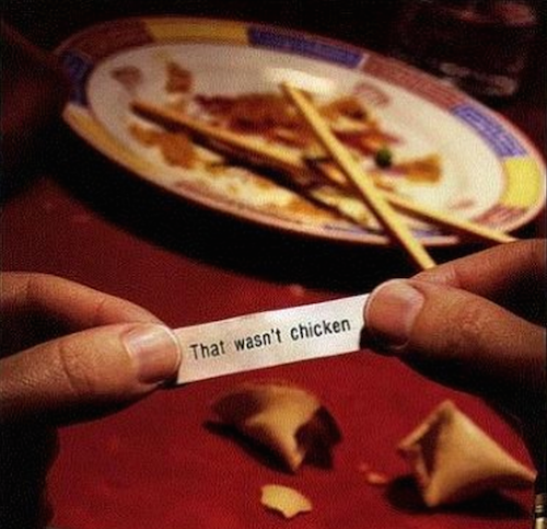 That wasn't chicken...
