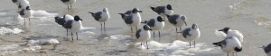 cropped-dsc024241.jpg
