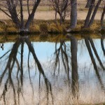 IMG_0409