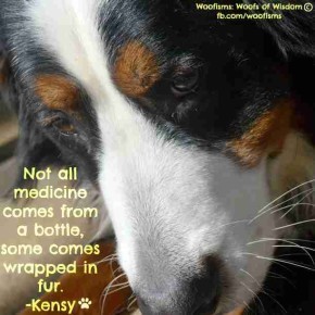 medicine_DSC4259