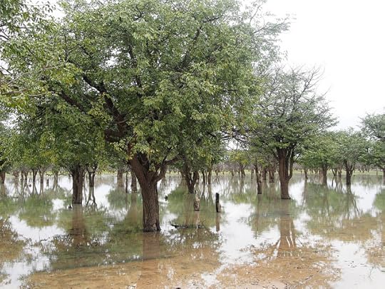 Crossing through this stuff... Not so good.